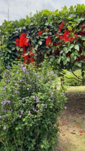 WhatsApp Image 2026-01-19 at 17.04.52